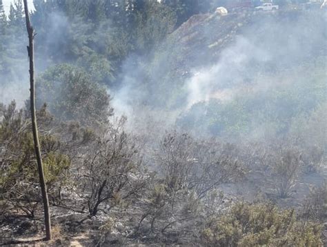 2 500 metros cuadrados consumió un incendio de pastizales registrado en