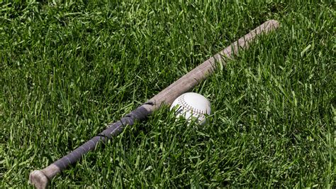 Everything You Need to Know About the Different Types of Softball Bat ...