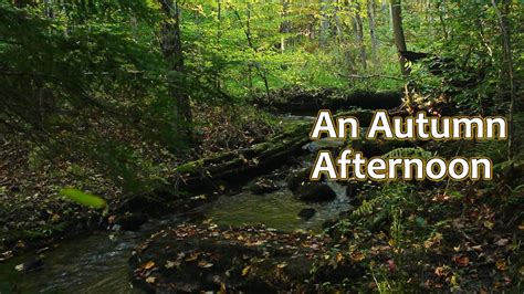 Autumn New Hampshire Stream Relaxing And Sleep Sounds 10 Hours