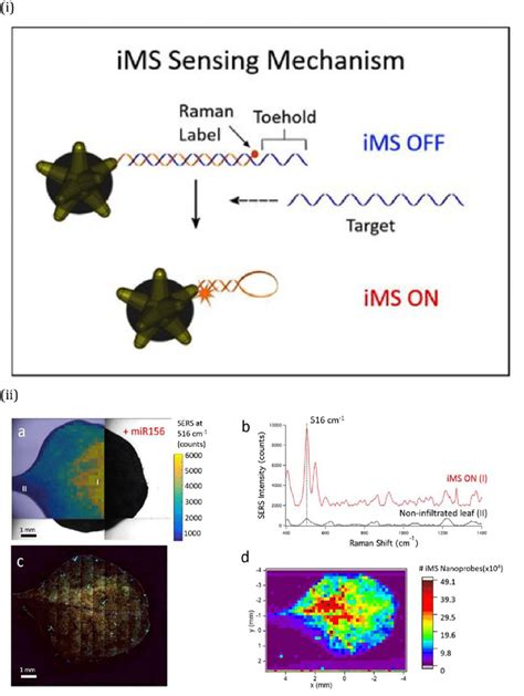 I Ims Inverse Molecular Sentinels Sensing Mechanisms And Ii