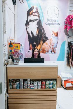 Bichos E Caprichos Tijuca - Bichos e Caprichos