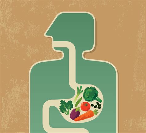 Maneras Faciles Para Mejorar La Digestion Tu Salud