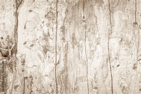 Nature Brown Wood Texture Background Board Seamless Wall And Old Panel