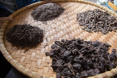 What Is The Difference Between Raw Pu Erh And Green Tea Hojo Online