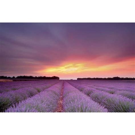 Puzzle En Bois Champ De Lavande Coucher De Soleil Ciel Soleil