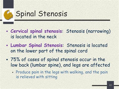 Ppt Computer Aided Diagnosis System For Lumbar Spinal Stenosis Using X Ray Images Powerpoint