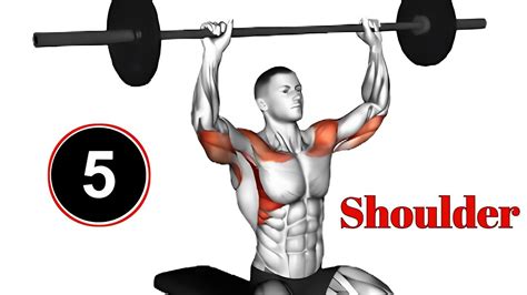 5 Effective Shoulder Exercises To Build 3D Bigger Shoulders YouTube