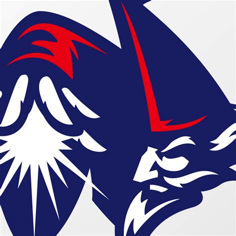 Washington Wizards logo concept :: Behance