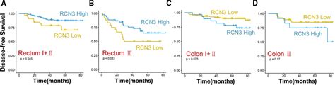 Oncologie Free Full Text Rcn Expression Indicates Prognosis In