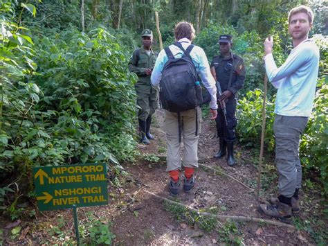 Uganda Gorilla Trekking-What To Expect