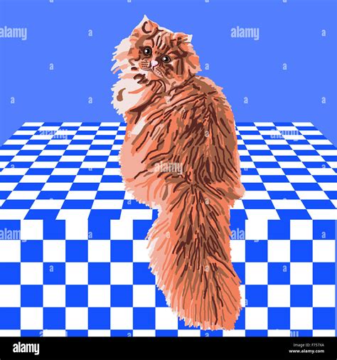 Orange Persian Cat Stock Photo - Alamy