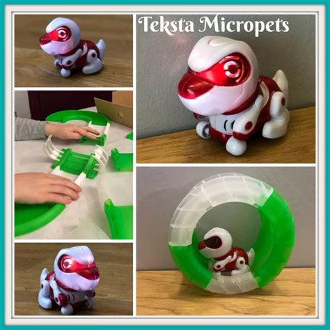 Teksta Micropets Review Chelseamamma