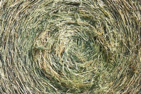 Premium Photo | A closeup shot of a large bail of hay