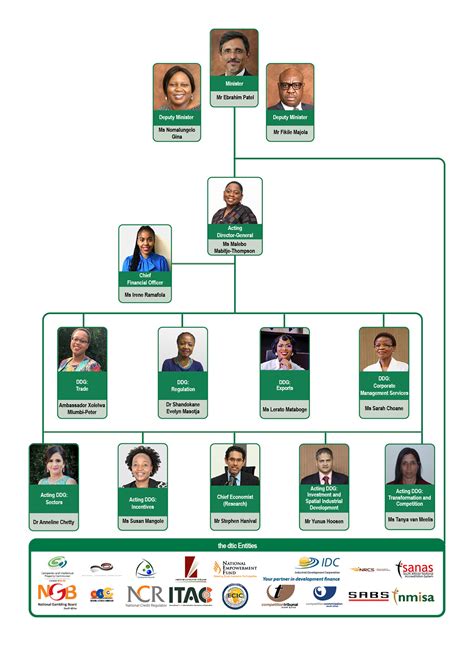 Organogram The Department Of Trade Industry And Competition