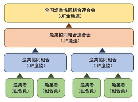 協同組合について