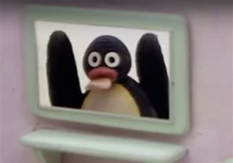 pingu memes Imagenes grasiosas Imagenes extrañas Memes para comentarios