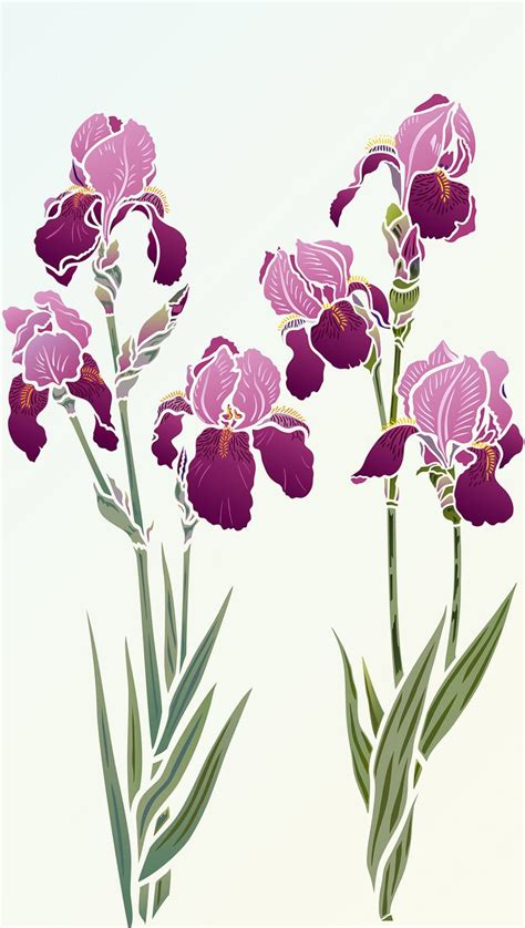 Iris Stencils And Henny Donovan Motif Iris Drawing Iris