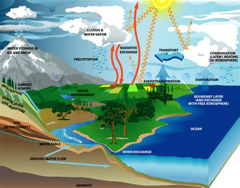 Hydrological Water Cycle Diagram