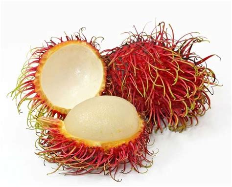 rambutan Frutas exóticas Fruta extraña y Frutas saludables