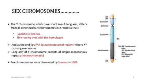 Sex Chromosomes Evolution Pptx