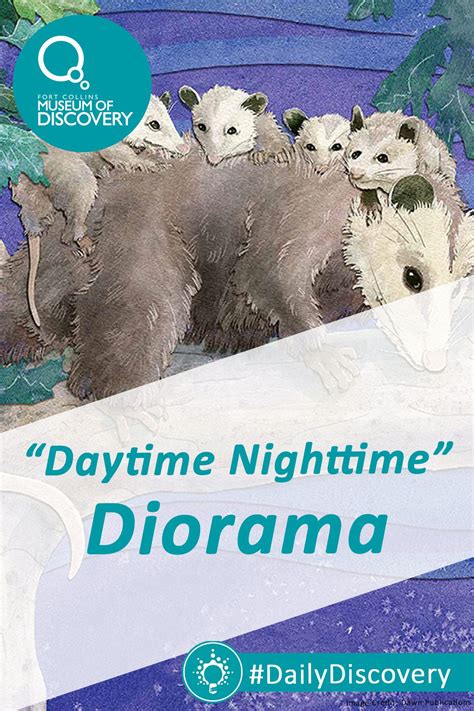 Daytime Nighttime Diorama Story Time Night Time Discovery