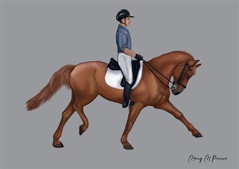 ArtStation - Horse riding educational illustration