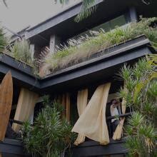 Bella Da Semana Nude Leaks 2024 Fapopedia