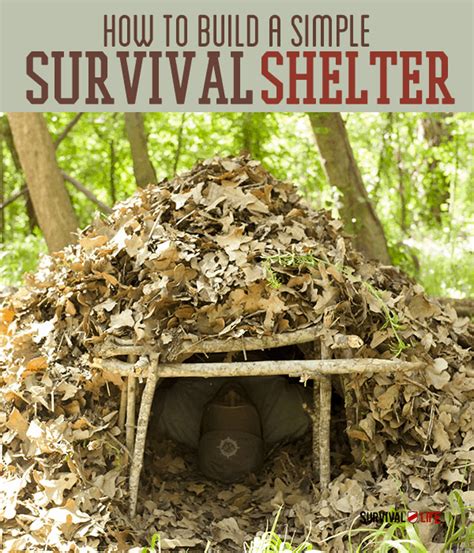 Emergency Shelter Diy Basic Survival Skills Survival Life