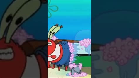 Mr Krabs Is Washing A Car So Weird It Will Shock You Youtube