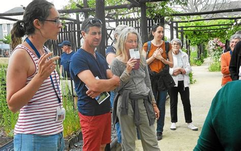 Des randos visites organisées dans les jardins quimpérois Le