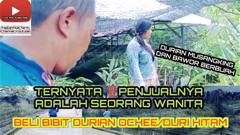 Membeli Bibit Durian Ochee Duri Hitam Melihat Durian Musangking Dan