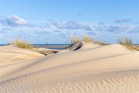 Yann Avril Photographies Photos De La C Te D Opale Le Cap Blanc Nez