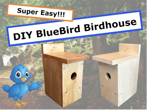 Bluebird Birdhouse Plans And Instructions Super Easy Diy Nature Etsy