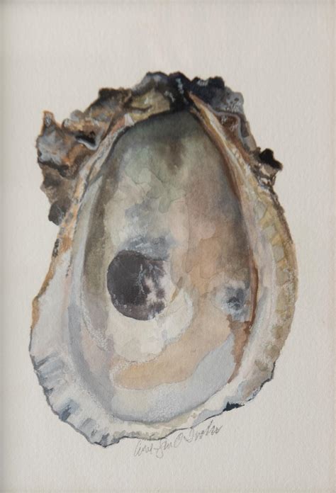 Lot Carol Jean O Toole Oyster Shell Watercolor Gouache