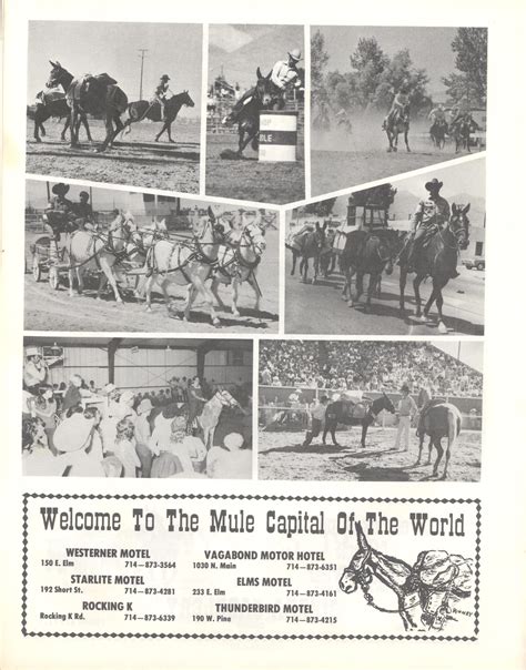 Bishop Mule Days