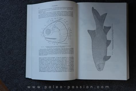 Piveteau Traite De Paleontologie Tome Iv Volume Actinopterygiens