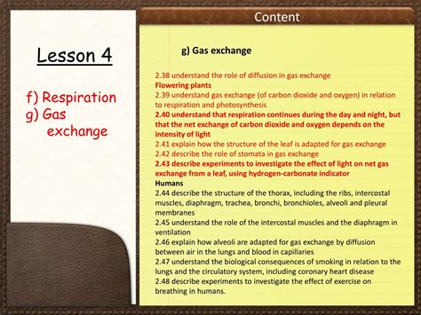 PPT - Respiration and Gas Exchange in Living Organisms PowerPoint
