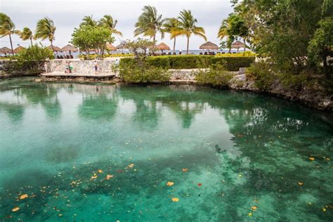 Chankanaab Cozumel Premium Day Pass With Lunch And Open Bar GetYourGuide