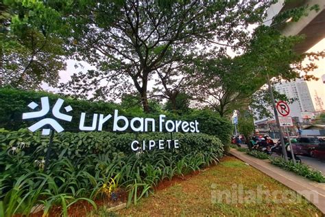 Foto Urban Forest Cipete Tempat Hangout Ala Hutan Kota Di Jaksel