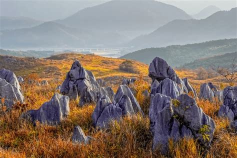 Akiyoshidai National Park Images Stock Photos D Objects