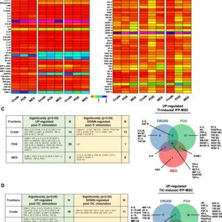 Secretory Profiling Of Crude And Cd Selected Ifp Msc Spheroids With