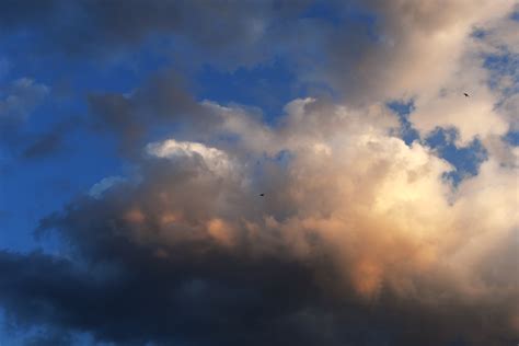 Cirrus Clouds in Sky at Sunset · Free Stock Photo