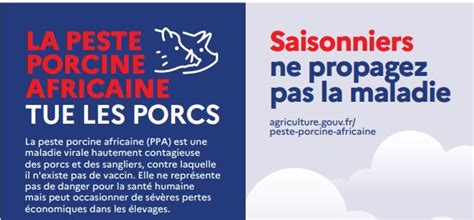 Peste Porcine Africaine Luttez Contre Sa Propagation En France Le