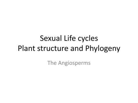 Ppt Sexual Life Cycles Plant Structure And Phylogeny Powerpoint