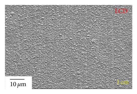 Sem Micrographs Taken At Different Regions On The Substrate Cm