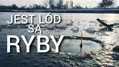 268 JEST LÓD SĄ RYBY CDA