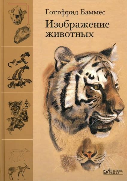 ГОТТФРИД БАММЕС ПОДБОРКА КНИГ ПО АНАТОМИИ ЧЕЛОВЕКА И ЖИВОТНЫХ Немецкий ...