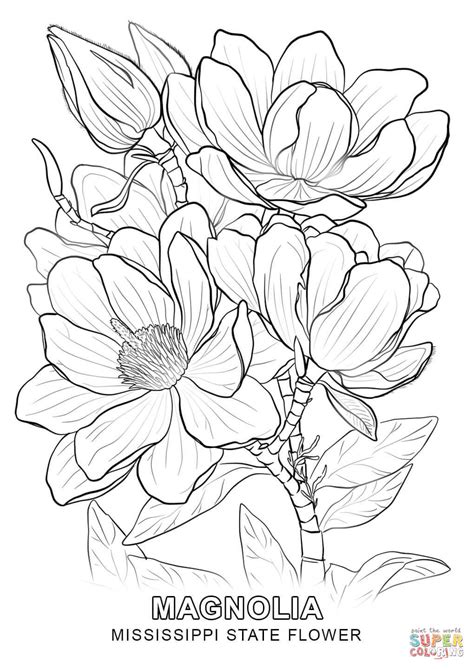 Mississippi State Flower coloring page | Free Printable Coloring Pages