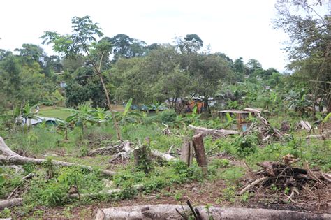 Miviot censura invasión de tierras y aboga por respeto a propiedad