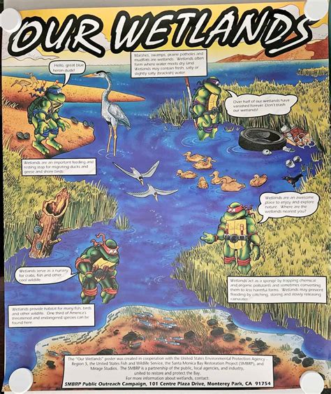 Posters Wall Hangings Tmnt Our Wetlands” Poster Tmnt A Collection